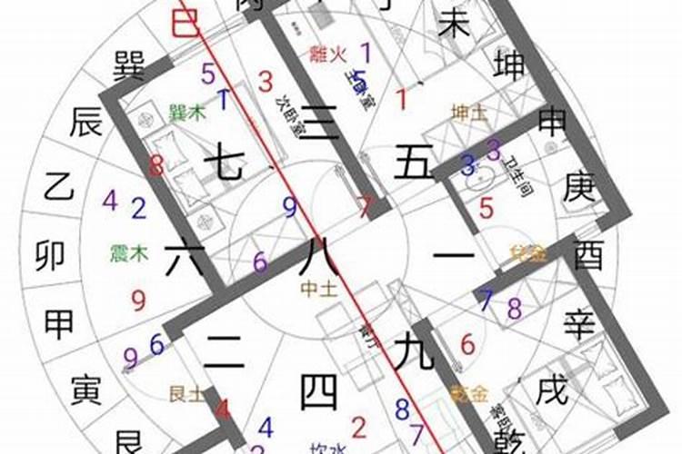 2025是兔年吗