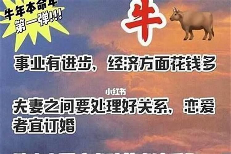 夏至有什么风俗