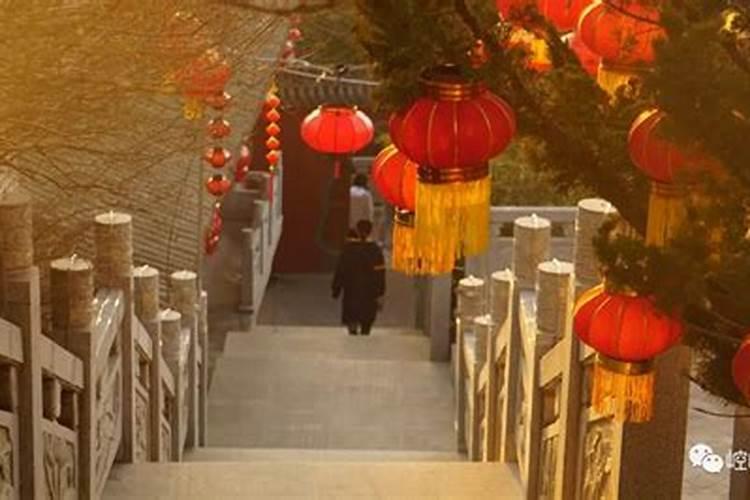 古诗词九月九日登山