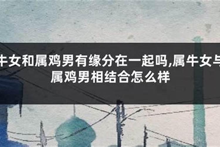 关于重阳节的英语介绍