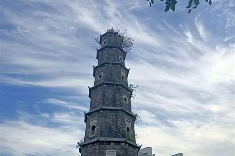 2020年王者荣耀至尊宝会不会返场 七夕还是520返场
