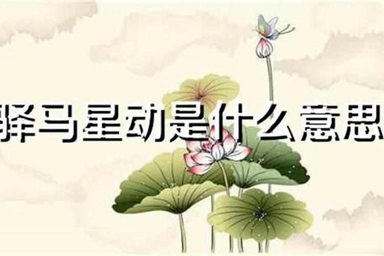 九宫命格