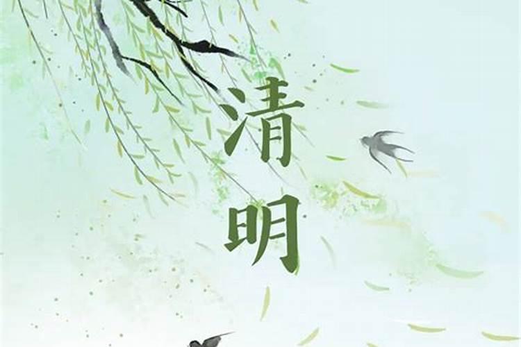 属鼠女配什么属相最好