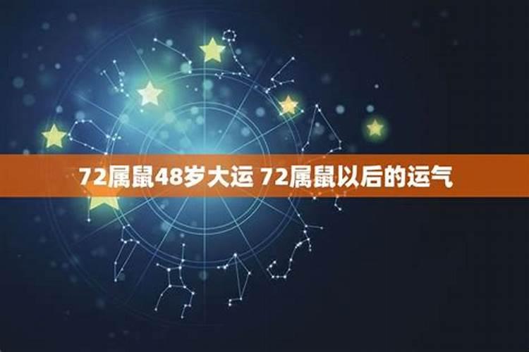 1977年属蛇男士[48岁]2025年事业与财运透视,赚钱机会在哪里？