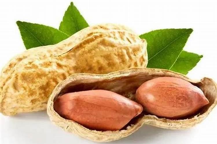 梦见吃花生是什么预兆