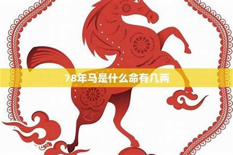 1978年属马的是什么命,好不好？