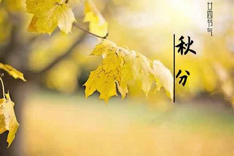 猴年出生的人命运好不好？