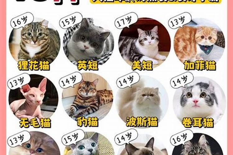 梦见自己洗澡