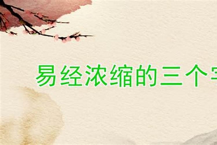 属马的和属鸡的合不合