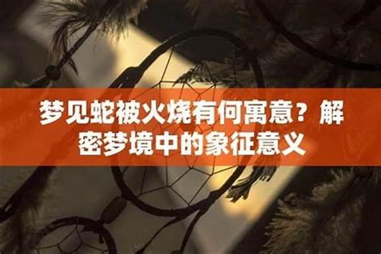2024年对属马的人好不好 属马的在2024年的运气