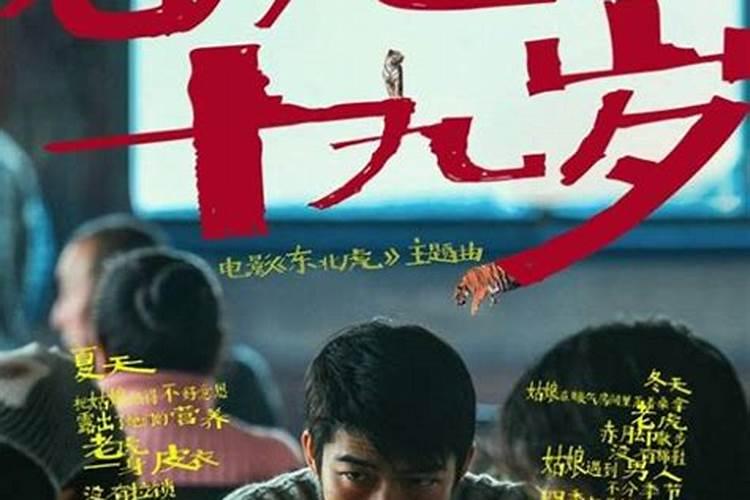 属虎人在2019年的运程