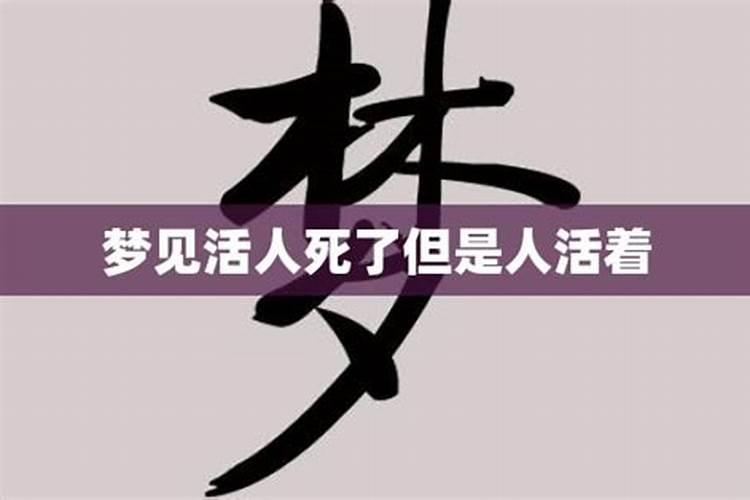 79年属羊人2025年运势运程
