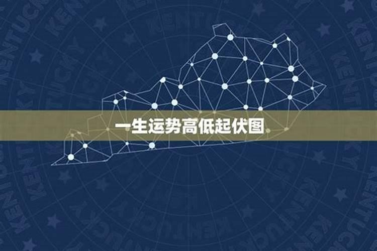 属猪2025年犯太岁