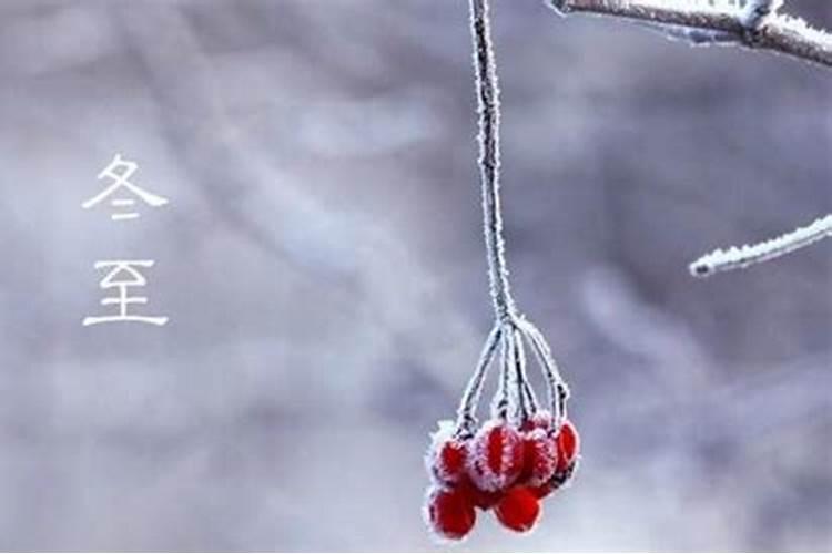 茅山在哪的,为什么叫茅山道士