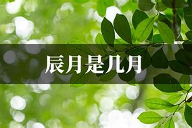 数学家的婚姻生活幸福吗
