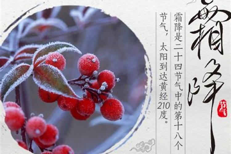2024霜降是几月几号几点几分