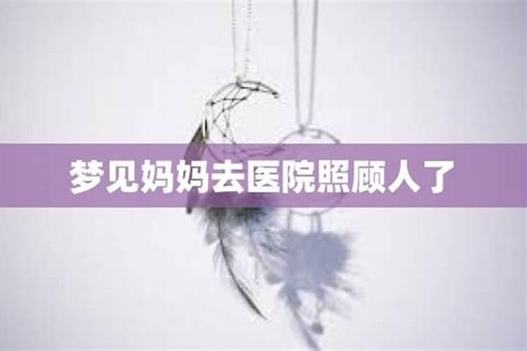 梦见满地蚂蚁