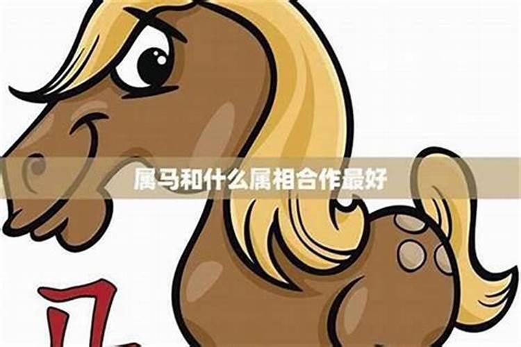 属马的和属鸡的婚姻怎么样