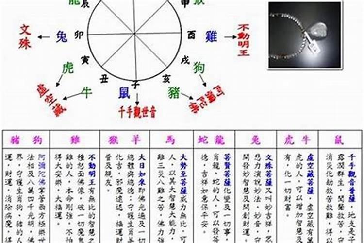 属羊的和什么属相最配