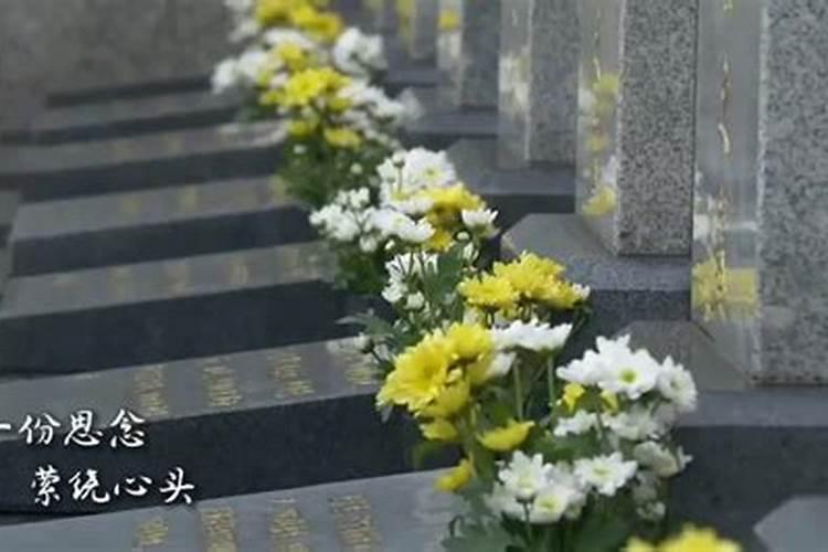 清明节祭扫应急预案