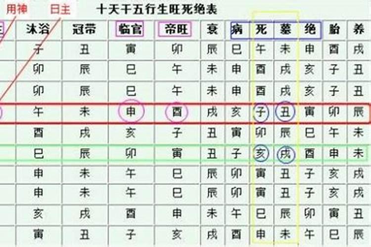 什么命怎么算金木水火土
