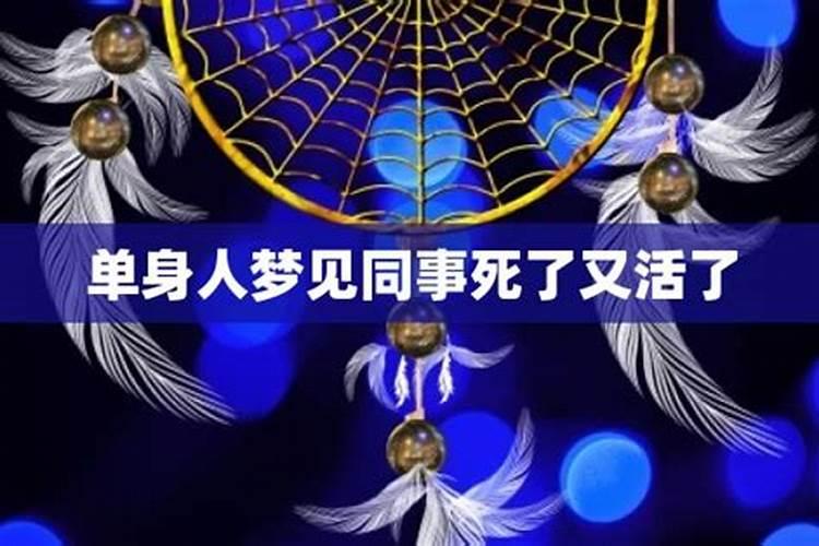1982年属狗女士[43岁]2025年情感运势大揭秘,婚姻发展如何？