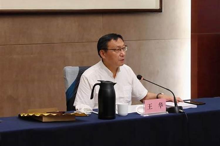 2025年属狗人的全年每月运势
