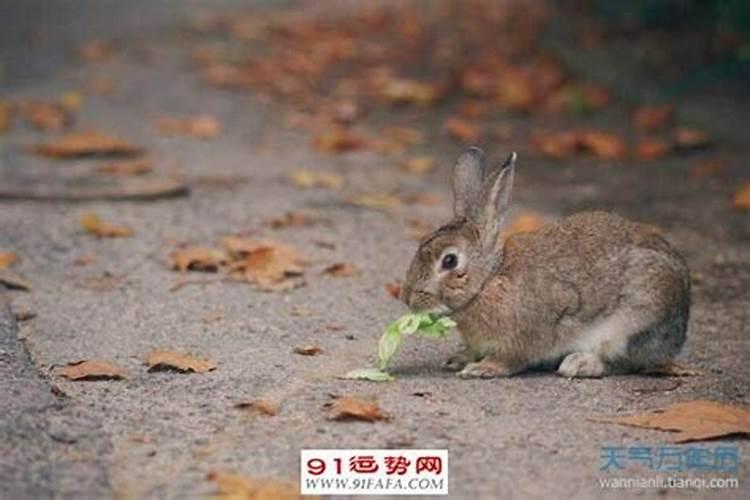 梦见死去的亲人和活着的亲人在一起,要引起注意了