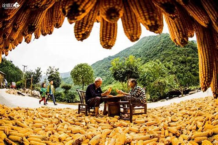 清明节一般在农历几月
