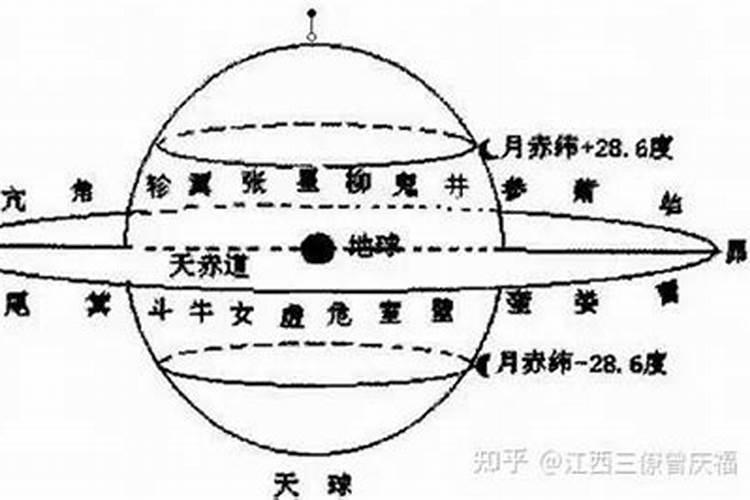 什么生肖最旺猪的财运最好