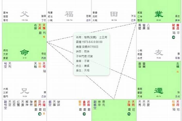 这个紫微斗数排盘我看不来谁能讲解一下么？谢谢