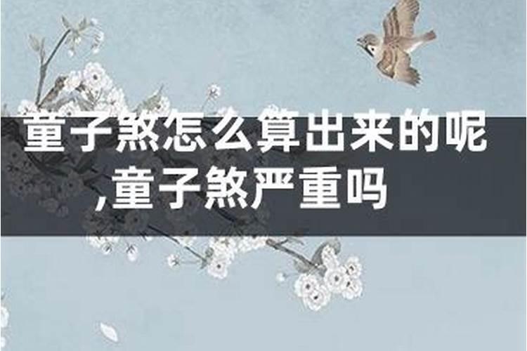 道教中什么是童子？
