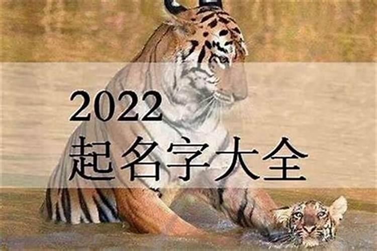 属虎的男孩取什么名字比较好 男宝宝起名好听稳重