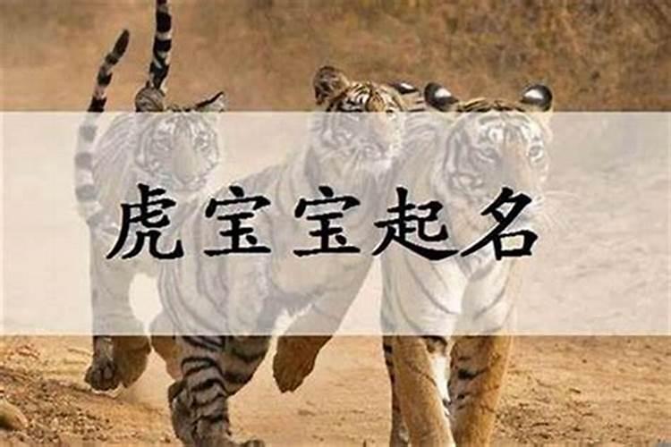 属虎宝宝命里缺水取什么名字好虎年缺水男孩起名