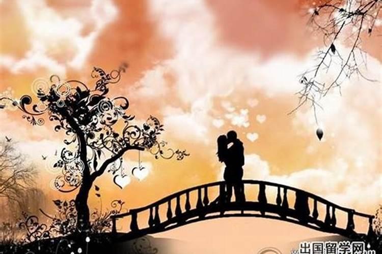 87年男和88年女婚配怎么样,1987年属兔男和1988年属龙女