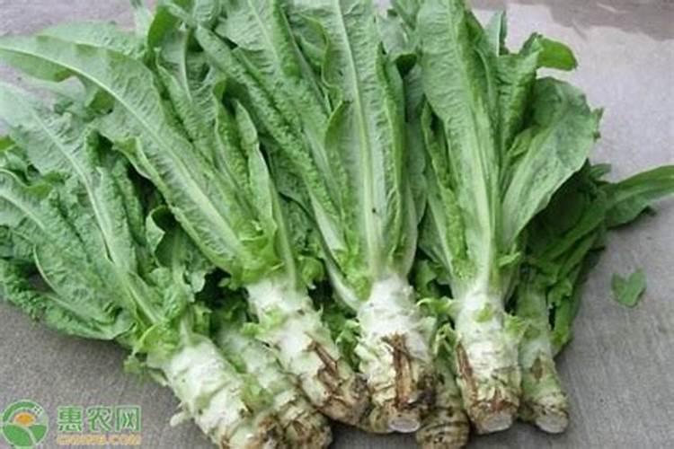 离阴历12月2号还有多少天