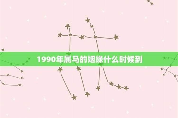 95年属猪人2025年运势