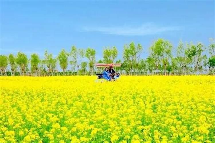 天津清明节带孩子去哪里玩比较好