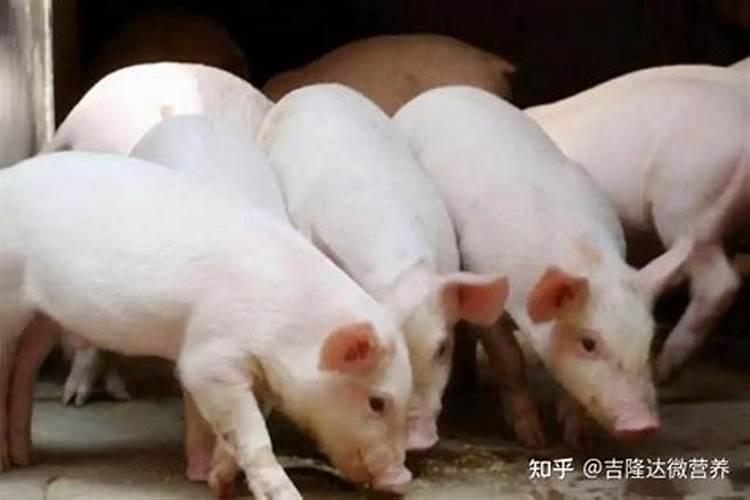 盐城地区冬至和夏至最大的日照角度以及四季经常刮什么风