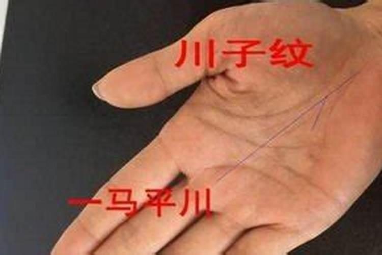 清华北大学霸八字分析 都有这些八字特征？