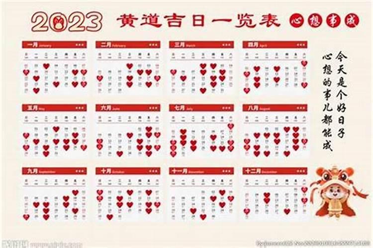 属兔的人今年带老鼠的运气会怎么样？