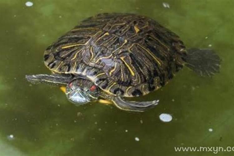犯太岁 要怎样化解？