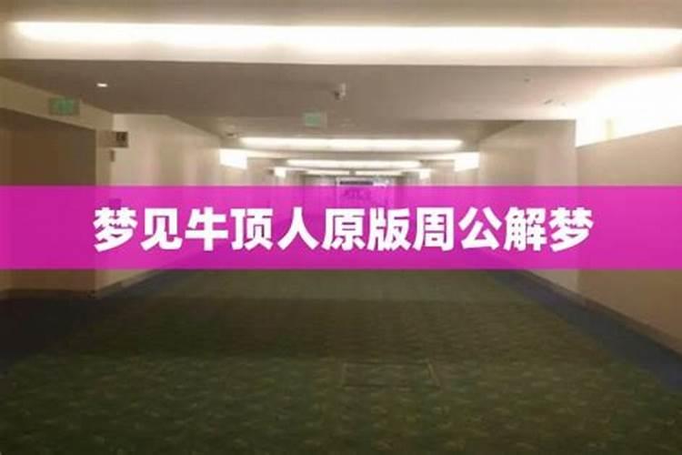 梦见牛顶别人的预兆
