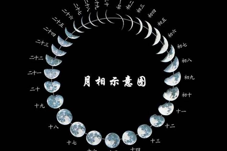 1996年阴历10月初1是什么星座