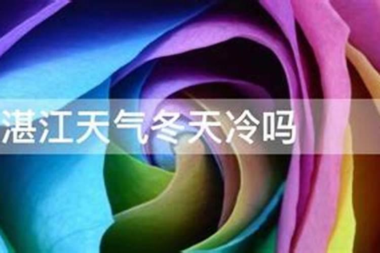 广东吴川冬至民俗 吃姜饭