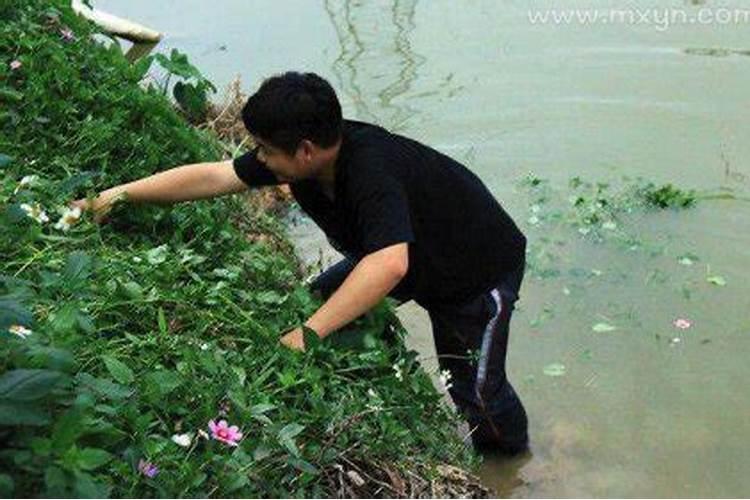 女人梦见绿色大仙人掌是什么预兆