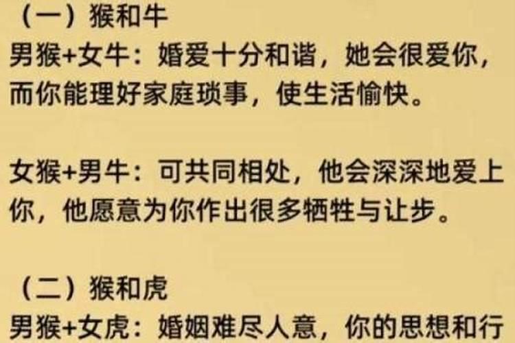 梦见家公的预兆