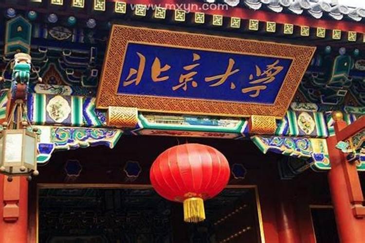 梦见猫和我玩的预兆