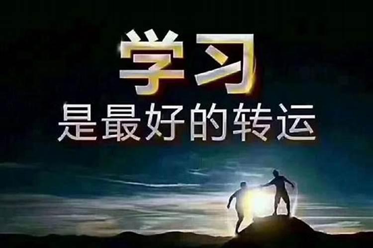 周公解梦之梦见买狗