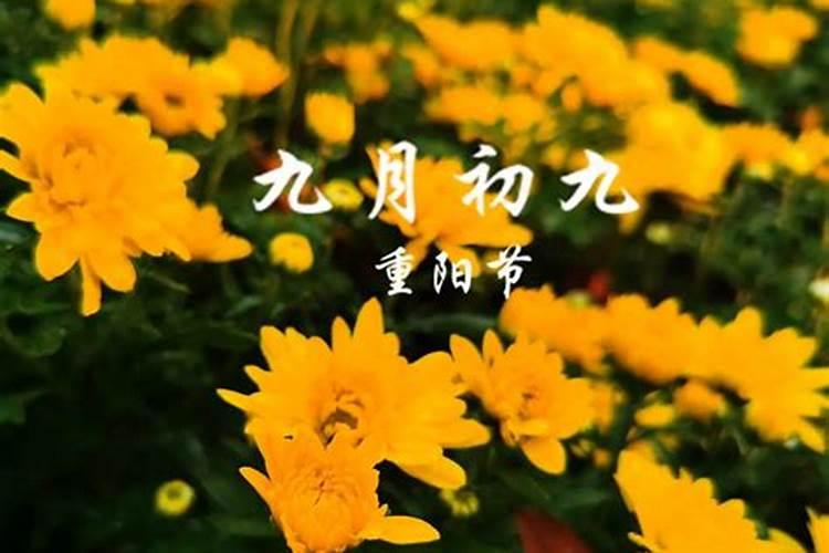 婚姻严重不顺的女命八字特征？